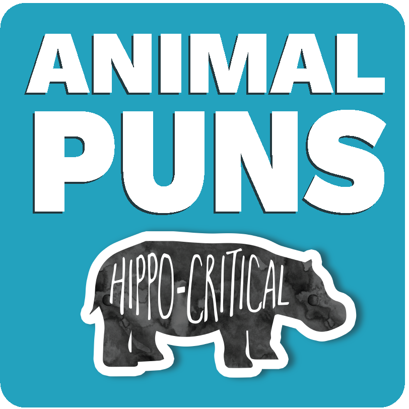 animal puns category