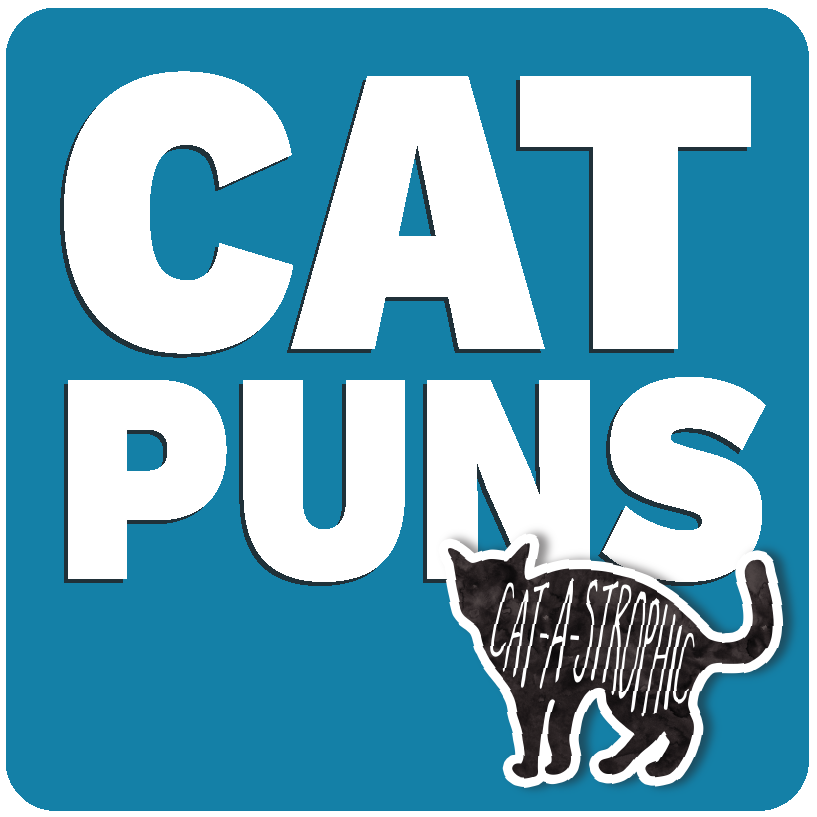 cat puns category