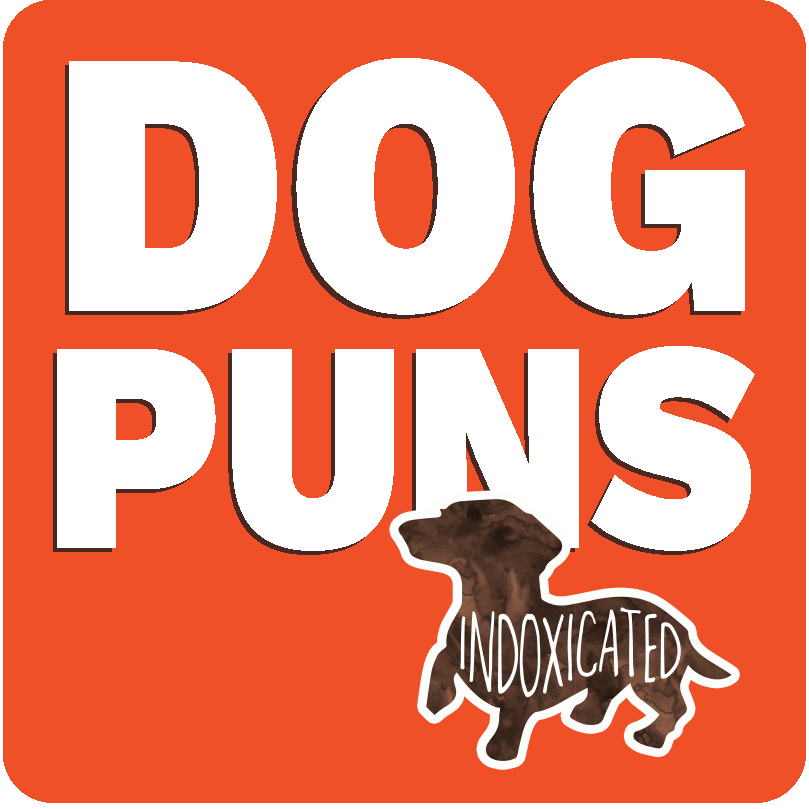 dog puns category