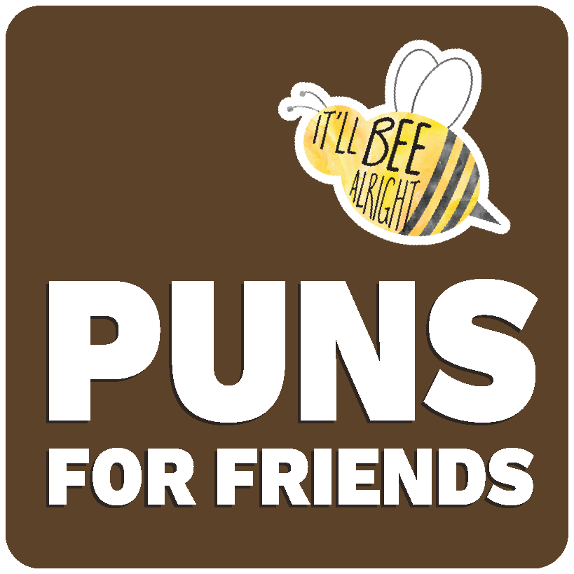 puns for friends category