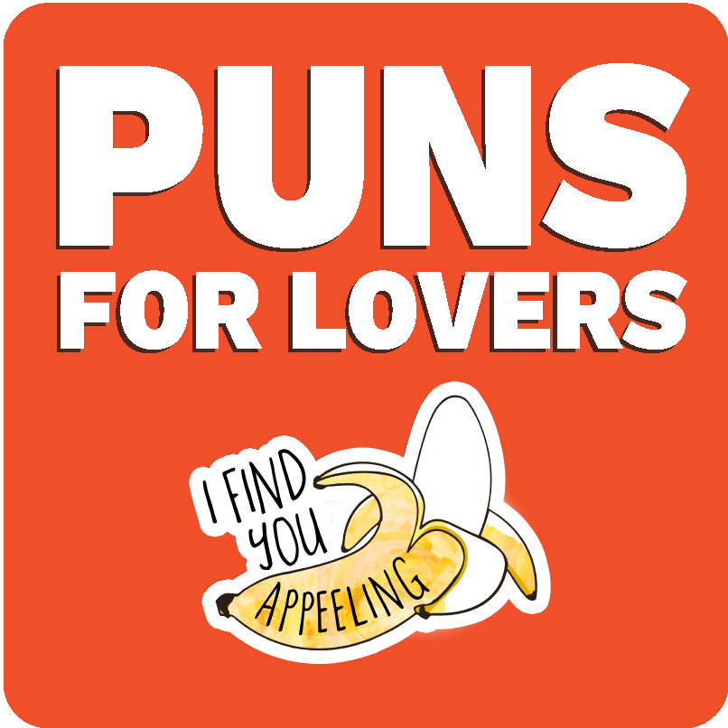 puns for lovers category