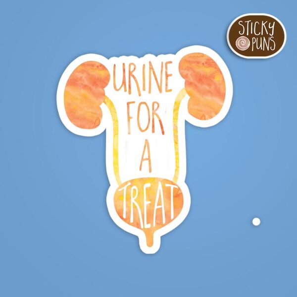 A medical pun sticker with the text "urine for a treat" humorously incorporated into kidney and bladder illustrations. Sticker is on a blue background with a sticky puns logo in the top right corner.