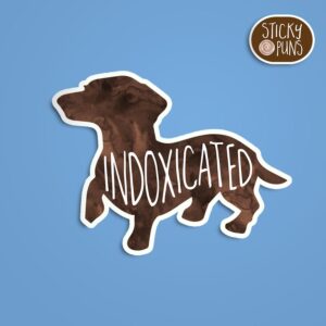 A pun sticker with the word 'indoxicated' written on a dachshund. Sticker is on a blue background with a sticky puns logo in the top right corner.