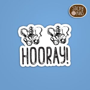 A pun sticker with the phrase 'Hip Hip Hooray' written on a pair of pelvis and hip bones. Sticker is on a blue background with a sticky puns logo in the top right corner.