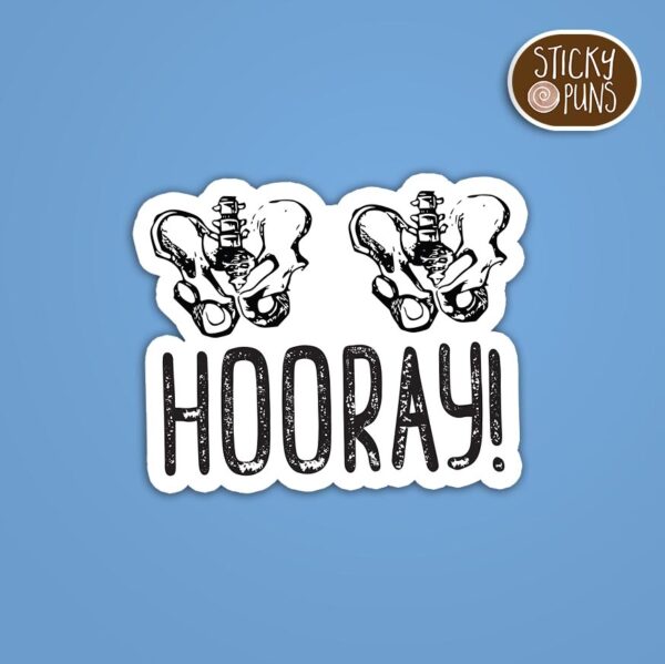 A pun sticker with the phrase 'Hip Hip Hooray' written on a pair of pelvis and hip bones. Sticker is on a blue background with a sticky puns logo in the top right corner.