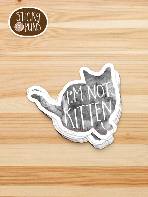 stack of I'm not KITTEN - cute kitten pun stickers