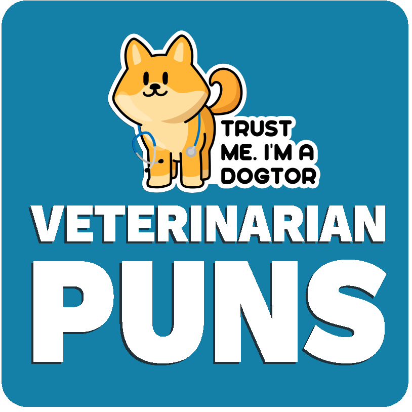veterinarian puns category